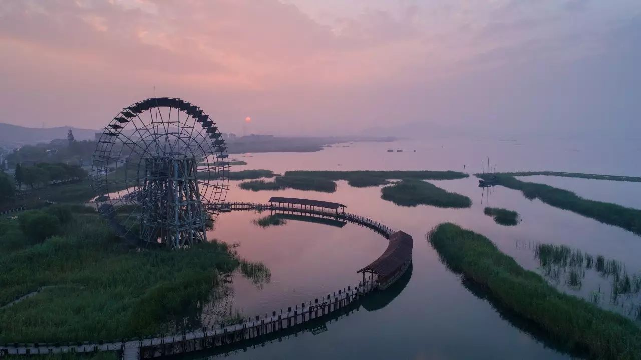 湿地总动员苹果版小狗爱旅游苹果版下载安装-第1张图片-太平洋在线下载