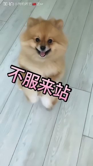 嘟嘟网手机版缤客booking官网-第2张图片-太平洋在线下载