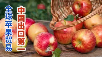 potatsolite苹果版potatsolite苹果版下载-第2张图片-太平洋在线下载
